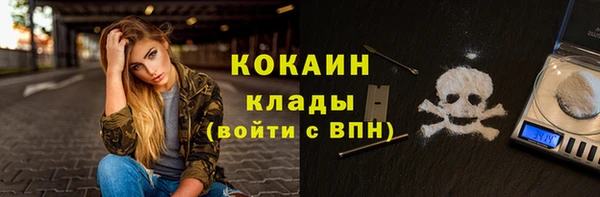 твердый Богородск