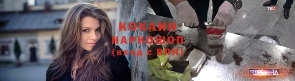 твердый Богородск