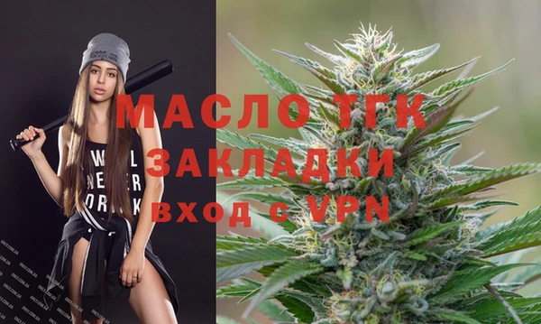 мдпв Богородицк