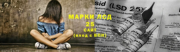 мдпв Богородицк