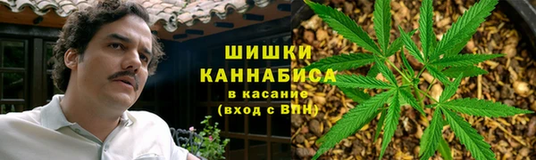 твердый Богородск